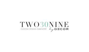 two30nine logo